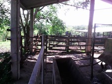 venta de rancho o finca ganadera en tuxpan veracruz, frente al río