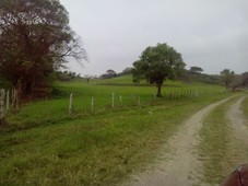 venta de rancho o finca ganadera, tuxpan veracruz en el camino al remate 10 hectáreas