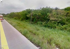 venta terreno 10 hectáreas carretera tuxpan - tamiahua veracruz