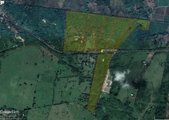 venta terreno rancho 40 hectáreas ojite tuxpan veracruz