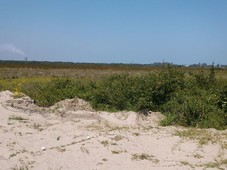 venta terrenos 7 hectáreas playa de tuxpan veracruz.