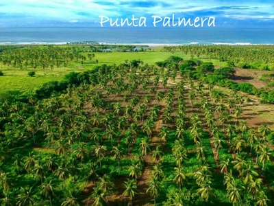 2 Terrenos En Punta Palmera, Playa Ventanilla Puerto Escondido