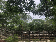 rancho con cenote cerca de nah balam