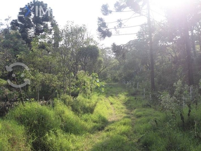 TERRENO EN VENTA, COL. EMILIANO ZAPATA, XALAPA, VE