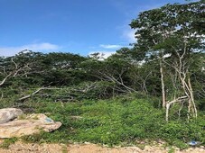 terreno en venta, al lado del club de polo, komchen, mérida yucatán.