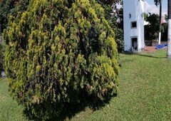 casa con alberca climatizada cancha de tenis a 5 minutos de la paloma de la paz