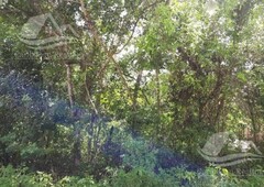 Terreno en venta Akumal Quintana Roo