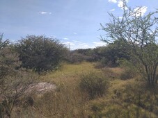 TERRENO PROPIO PARA PROYECTO RESIDENCIAL CAMPESTRE EN SAN MIGUEL DE ALLENDE.