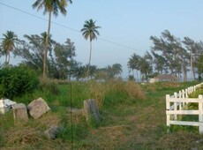 venta terreno 1.4 hectáreas en la playa de tuxpan veracruz