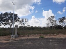 venta terreno en temozón norte, mérida yucatán.