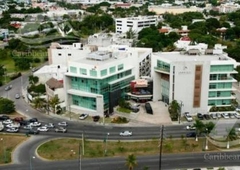 131 m oficina en renta en cancun b-ccr5028