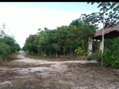 Terreno en venta en paraíso cancún, Cancún, Quintana Roo