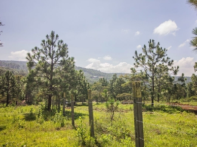 Terreno en venta en Tapalpa, Real de Encinos, Tapalpa, Jalisco.