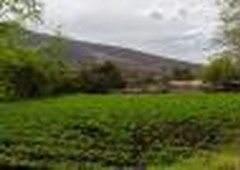 Rancho en Venta en Yuriria, Guanajuato