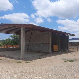 Rancho Ganadero (el) Venta, San Ignacio, Sinaloa