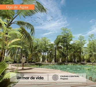 Terrenos Residenciales Premium en Venta, Ciudad Central Progreso, Mérida, Yucatán