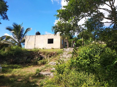 Terreno En Venta De 175 Has Con Cenote Igual Al De Chichen Itz{á, Dzitás, Yucatán.