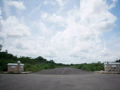 Terreno En Venta, En Chicxulub, Yucatán