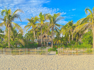 Acapulco Casa Playa Encantada Super Promoción Invitamos A Una Pequeña Y Amigable Mascota Y Te Regalamos Una Fogata En La Playa Para Que Se La Pasen...¡¡¡como En Casa...pero, Con Playa...!!!