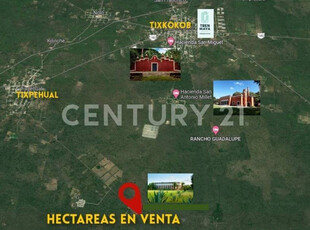 Hectareas En Tixpéhual Yucatán, A 3 Kms De La Carretera Federal A Cancún.