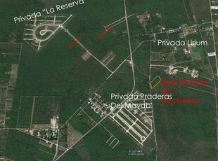 Terreno En Conkal 5000 M2 Ideales Para Desarrollar Al Norte De Merida