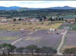 Terrenos En Zona Villa Corona Y Tala