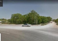 632 m terreno en renta en playa del carmen