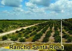 Finca en Venta en rancho santa rosa Lázaro Cárdenas, Quintana Roo