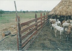 Rancho en Venta en Presidente Juárez, Quintana Roo