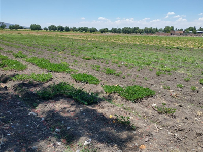 4 Hectáreas En Venta Carretera Celaya San Miguel Allende