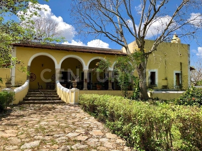 Hacienda Kankabchen De Molina Cansahcab, Yuc,