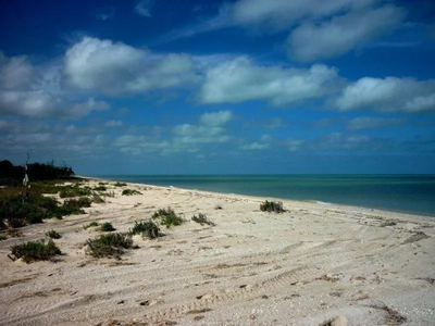 Playa Sisal!! Terreno Con 20m Frente Al Mar, Hermosa Playa