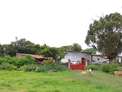 Rancho Ganadero En Venta En Nopala Hidalgo.