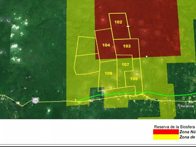 Terrenos En Venta Los 6 Lotes Juntos Son 14,683 Has, Xpujil, Calakmul, Campeche