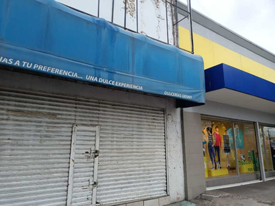 Local Comercial En Renta/venta Adolfo Lopez Mateos Celaya