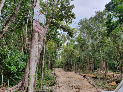 Venta Terrenos Ecoturísticos Escriturados En Playa Del Carmen Em03222