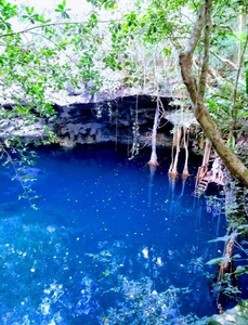 Venta De Terreno En Ruta De Los Cenotes