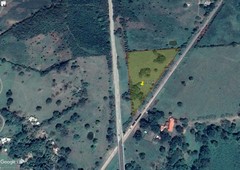 venta terreno 1.8 hectáreas cañada rica tuxpan veracruz.