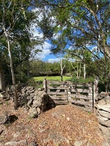 Rancho cerca de Tizimín con cenote propiedad privada