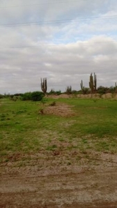 Terreno en VENTA Agricola Santa Fe Comondu BCS