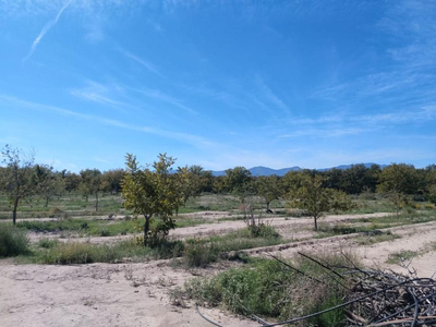 Terreno En Venta En Ejido Parras, Parras Coah