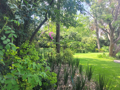 Vendo Casa Con Gran Jardin En Un Nivel En Av. De Las Palmas