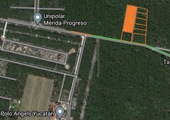 en venta terrenos 5,238m2 en komchén, mérida, yucatán, cerca del club de polo.