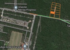 en venta terrenos ubicados en komchén, mérida, yucatán, cerca del club de polo.