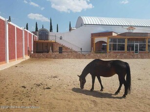 Doomos. En renta casa en San Juan del Rìo 2 rec caballerizas granero LP-23-3858