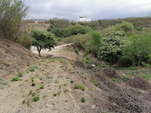 Terreno Campestre En Venta, El Barro, Carretera Nacional