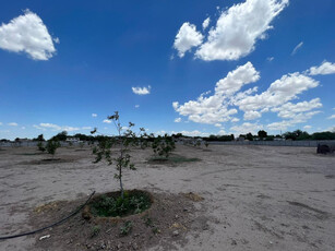 Terreno En Venta En Hormiguero