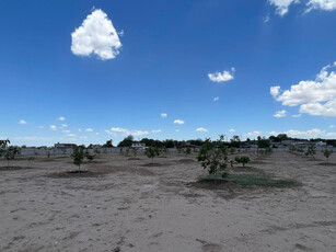 Terreno En Venta En Hormiguero