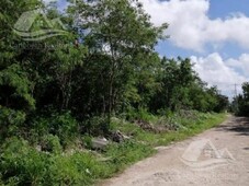 437 m terreno en renta en alamos 2 cancun