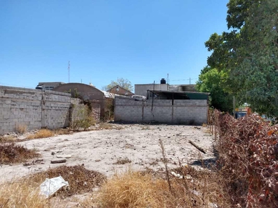 Terreno en Renta Ejido Paso del Aguila, Torreón Coah.